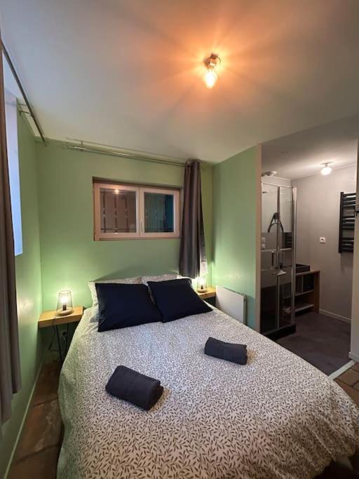 Le Cosy Balat Biel Rdc Jardin Spacieux Grisolles  Zewnętrze zdjęcie