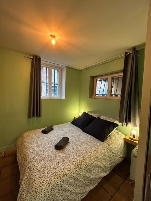 Le Cosy Balat Biel Rdc Jardin Spacieux Grisolles  Zewnętrze zdjęcie